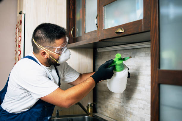 Best Pest Control for Restaurants  in Tioga, TX