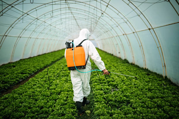 Best Pest Control Near Me  in Tioga, TX
