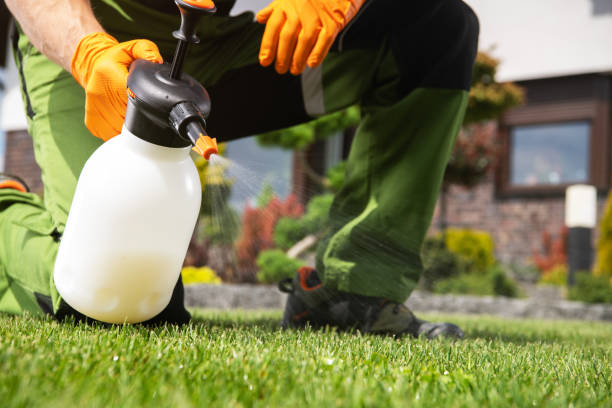 Best Emergency Pest Control  in Tioga, TX