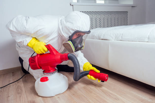 Best Affordable Pest Control Services  in Tioga, TX