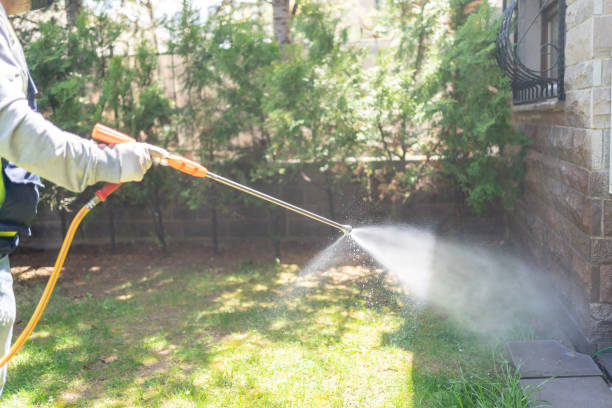 Best Flea Control Services  in Tioga, TX