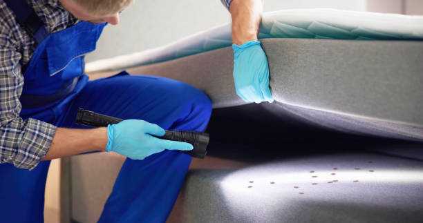 Best Residential Pest Control  in Tioga, TX