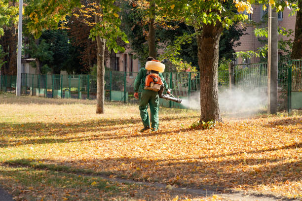 Best Cockroach Control Services  in Tioga, TX
