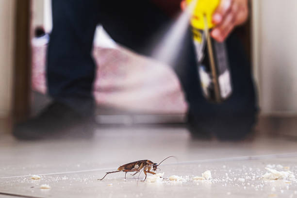 Best Exterminator Services  in Tioga, TX