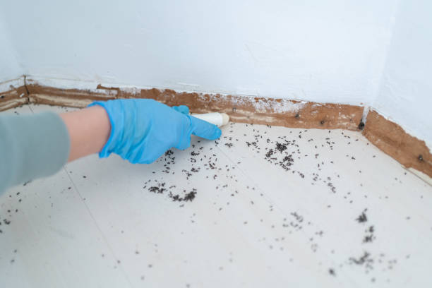 Best Wildlife Control Services  in Tioga, TX